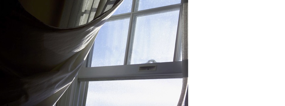 WindowImage